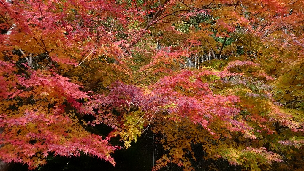 朝来市風景3